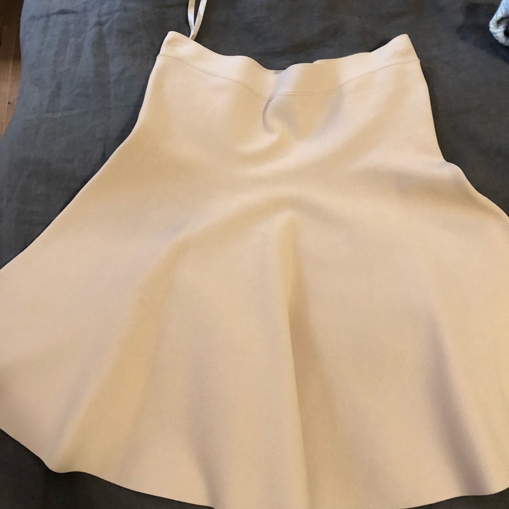 BCBG Ingrid skirt